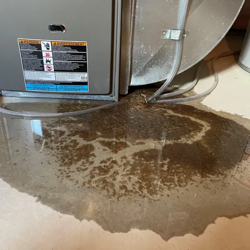 Appliance Leak Cleanup in Catron County, NM